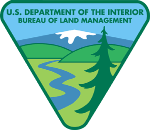 BLM-logo