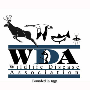 WDA Founded